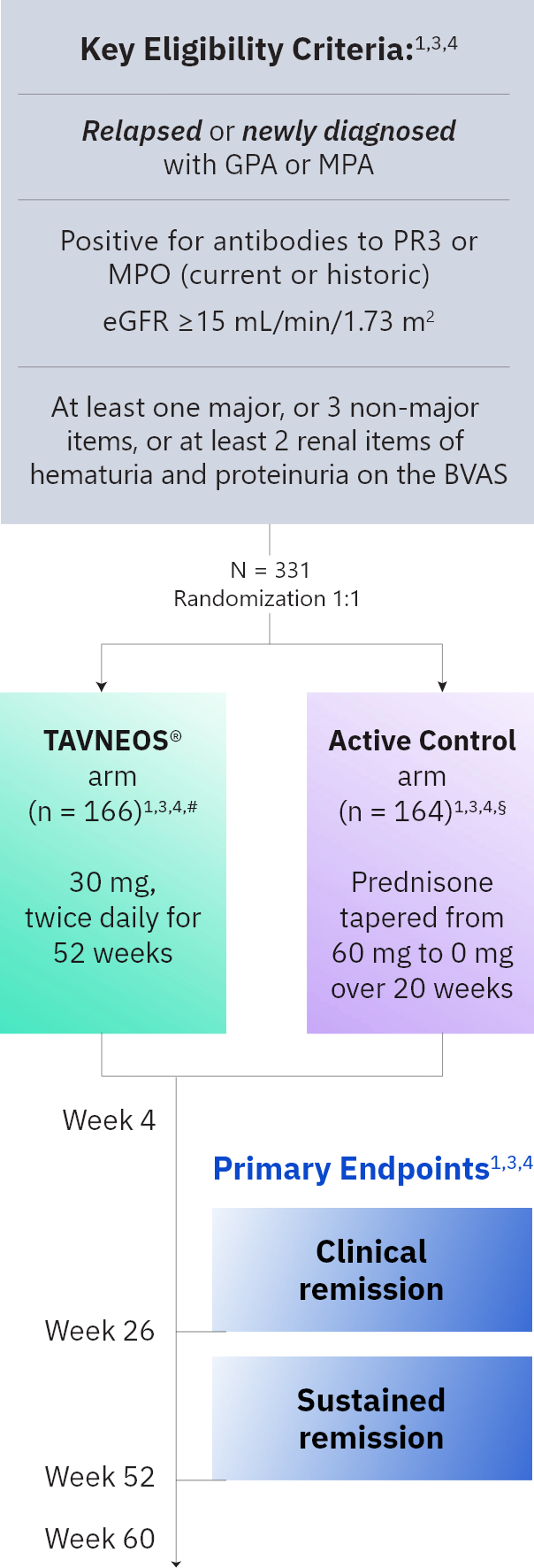 Study design overview of ADVOCATE Trial on TAVNEOS® (avacopan)