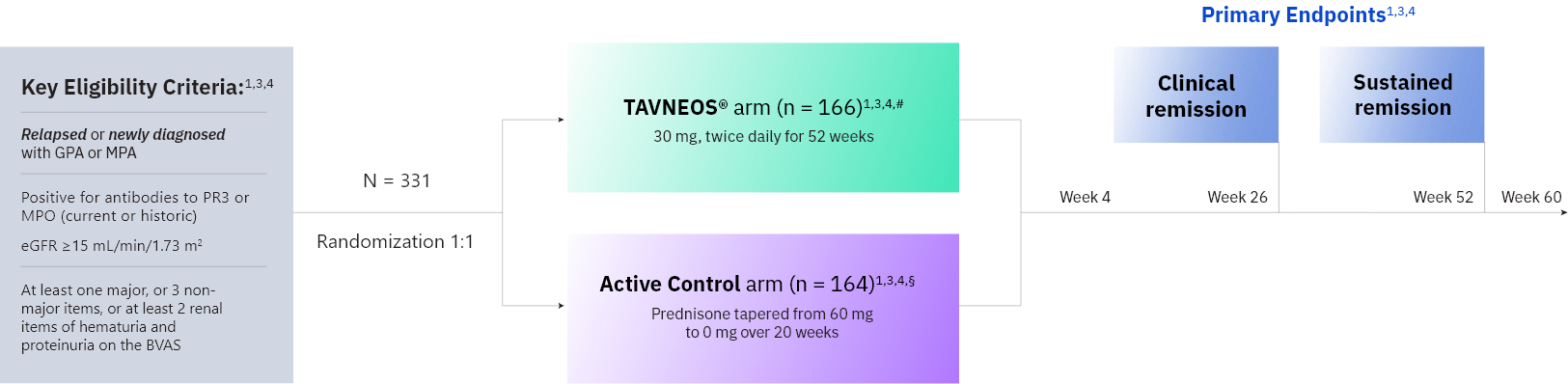 Study design overview of ADVOCATE Trial on TAVNEOS® (avacopan)